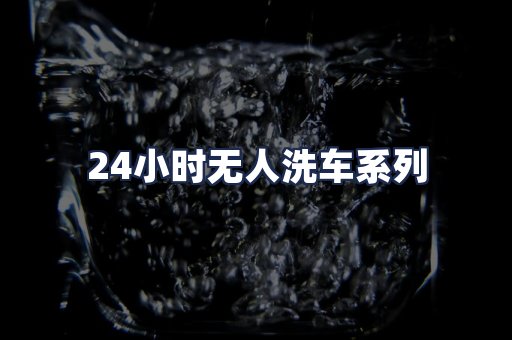 24小时无人洗车系列