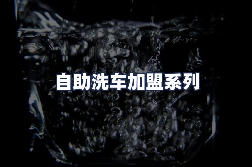 自助洗车加盟系列